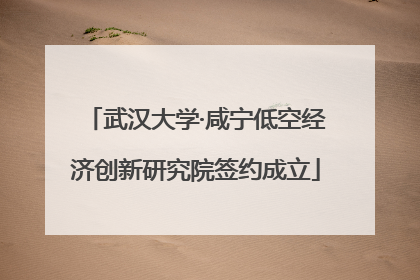 武汉大学·咸宁低空经济创新研究院签约成立