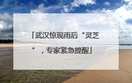 武汉惊现雨后“灵芝”，专家紧急提醒