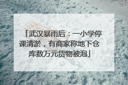 武汉暴雨后：一小学停课清淤，有商家称地下仓库数万元货物被泡