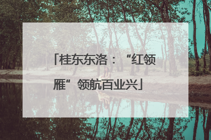 桂东东洛：“红领雁”领航百业兴