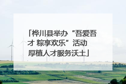 桦川县举办“吾爱吾才 粽享欢乐”活动 厚植人才服务沃土