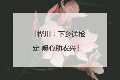 桦川：下乡送检定 暖心助农兴
