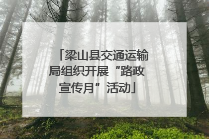 梁山县交通运输局组织开展“路政宣传月”活动