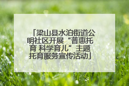 梁山县水泊街道公明社区开展“普惠托育 科学育儿”主题托育服务宣传活动