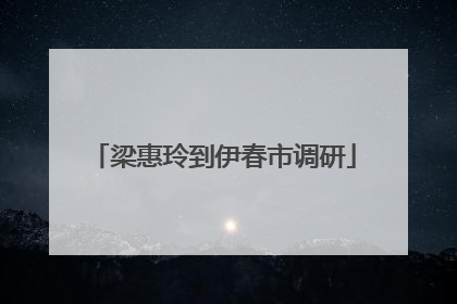 梁惠玲到伊春市调研