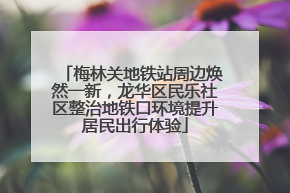 梅林关地铁站周边焕然一新，龙华区民乐社区整治地铁口环境提升居民出行体验