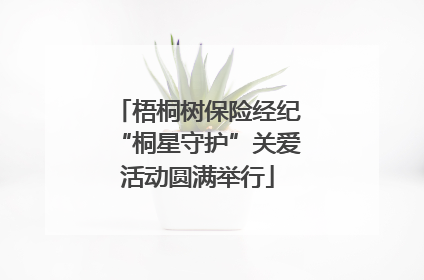 梧桐树保险经纪“桐星守护”关爱活动圆满举行