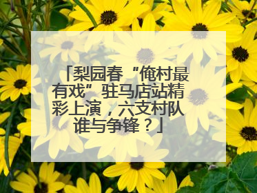 梨园春“俺村最有戏”驻马店站精彩上演，六支村队谁与争锋？