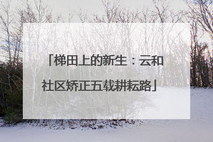 梯田上的新生：云和社区矫正五载耕耘路