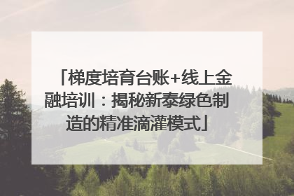 梯度培育台账+线上金融培训：揭秘新泰绿色制造的精准滴灌模式