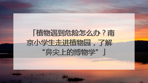植物遇到危险怎么办？南京小学生走进植物园，了解“鼻尖上的博物学”