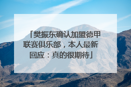 樊振东确认加盟德甲联赛俱乐部，本人最新回应：真的很期待