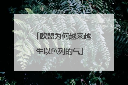 欧盟为何越来越生以色列的气