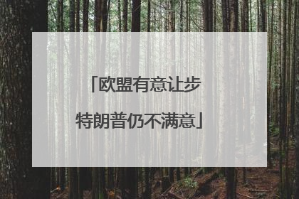 欧盟有意让步 特朗普仍不满意