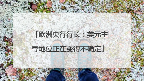 欧洲央行行长：美元主导地位正在变得不确定