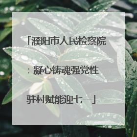 濮阳市人民检察院：凝心铸魂强党性 驻村赋能迎七一