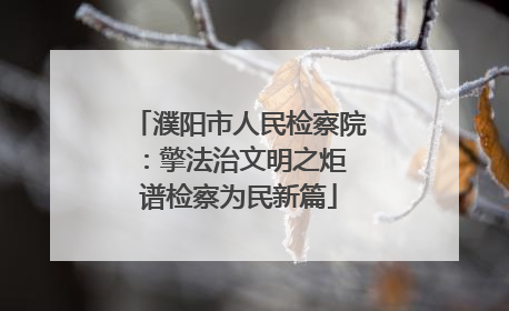 濮阳市人民检察院：擎法治文明之炬 谱检察为民新篇