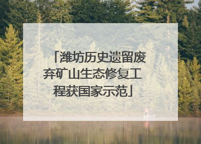 潍坊历史遗留废弃矿山生态修复工程获国家示范