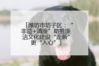潍坊市坊子区：“非遗+清廉”助推廉洁文化建设“走新”更“入心”