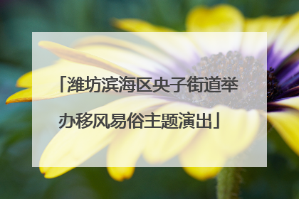 潍坊滨海区央子街道举办移风易俗主题演出