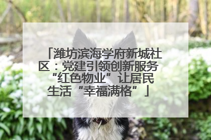 潍坊滨海学府新城社区:党建引领创新服务 “红色物业”让居民生活“幸福满格”