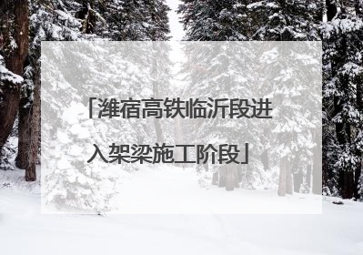 潍宿高铁临沂段进入架梁施工阶段