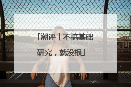 潮评丨不搞基础研究，就没根
