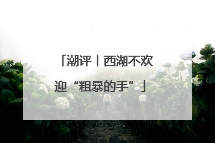 潮评丨西湖不欢迎“粗暴的手”