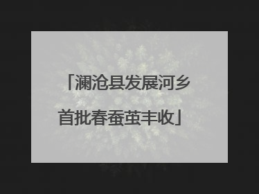 澜沧县发展河乡首批春蚕茧丰收