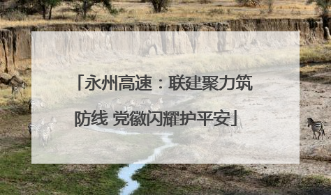永州高速：联建聚力筑防线 党徽闪耀护平安