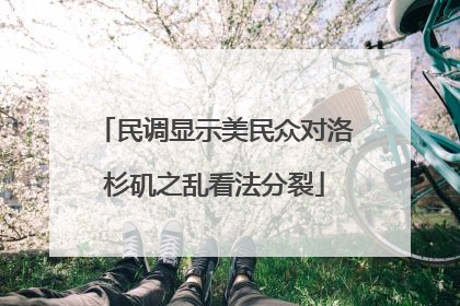 民调显示美民众对洛杉矶之乱看法分裂