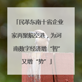 民革东南十省企业家再聚航空港，为河南数字经济增“智”又增“势”