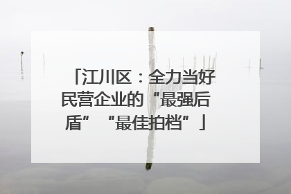 江川区：全力当好民营企业的“最强后盾”“最佳拍档”