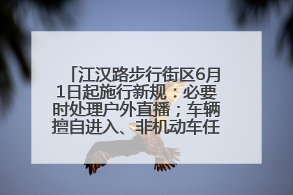 江汉路步行街区6月1日起施行新规：必要时处理户外直播；车辆擅自进入、非机动车任意停放的，依法处理
