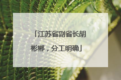 江苏省副省长胡彬郴，分工明确
