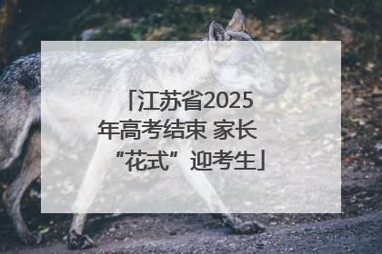 江苏省2025年高考结束 家长“花式”迎考生
