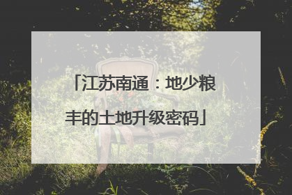 江苏南通：地少粮丰的土地升级密码