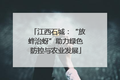 江西石城：“放蜂治蚜”助力绿色防控与农业发展