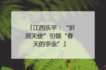 江西乐平：“折翼天使”引领“春天的事业”