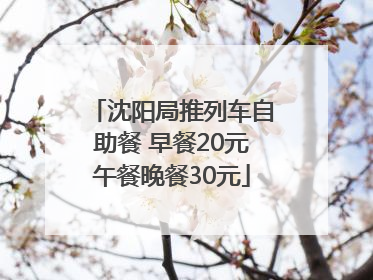 沈阳局推列车自助餐 早餐20元午餐晚餐30元
