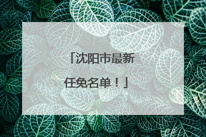 沈阳市最新任免名单！