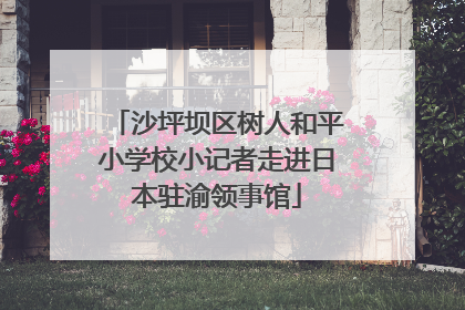 沙坪坝区树人和平小学校小记者走进日本驻渝领事馆