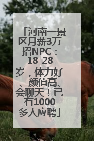 河南一景区月薪3万招NPC：18-28岁，体力好、颜值高、会聊天！已有1000多人应聘