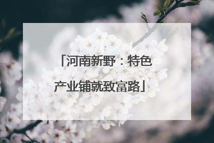 河南新野：特色产业铺就致富路