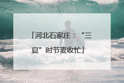 河北石家庄：“三夏”时节麦收忙