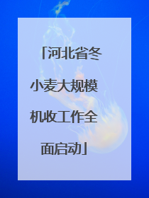 河北省冬小麦大规模机收工作全面启动