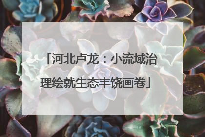 河北卢龙：小流域治理绘就生态丰饶画卷