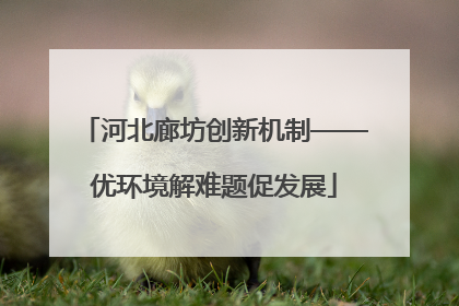 河北廊坊创新机制——优环境解难题促发展