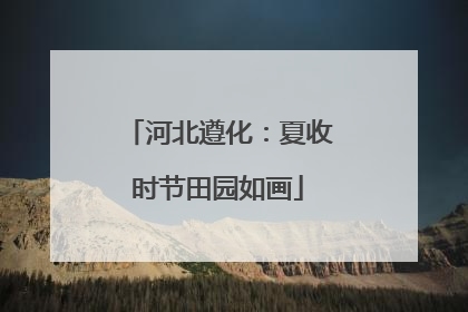 河北遵化：夏收时节田园如画