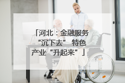 河北：金融服务“沉下去” 特色产业“升起来”